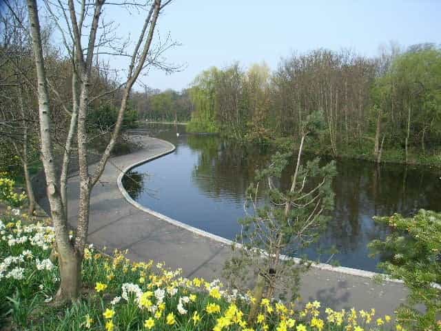 Trishaw scheme to launch at Dodder Park for people with reduced mobility