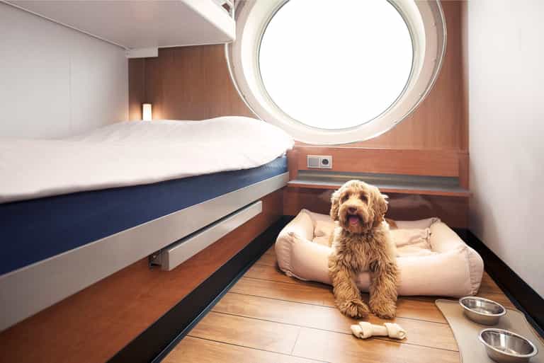 Stena Line to add 70 new pet-friendly cabins to Irish Sea routes Stena Line to add 70 new pet-friendly cabins to Irish Sea routes