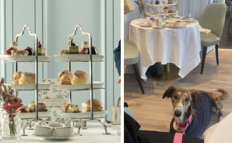 Here’s where you can take your dog for a 5 star afternoon tea in Dublin Here’s where you can take your dog for a 5 star afternoon tea in Dublin