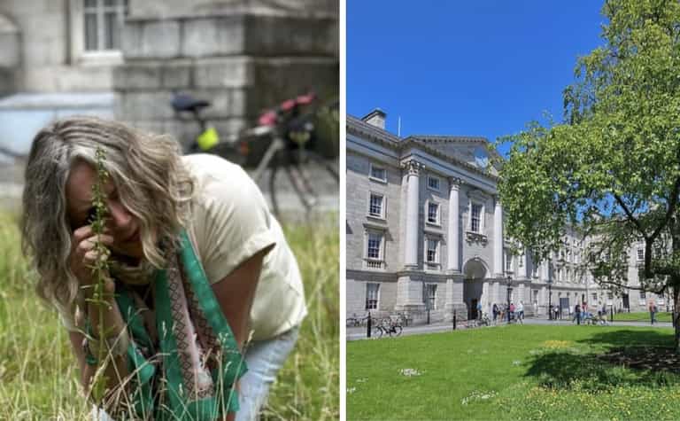 Rare Irish orchid discovered on Trinity lawn following No-mow May Rare Irish orchid discovered on Trinity lawn following No-mow May