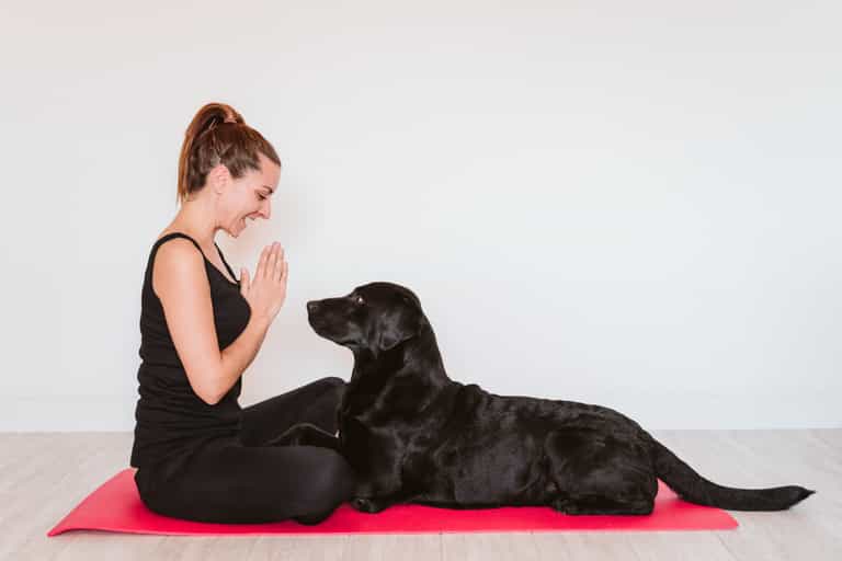 The London dog yoga trend has finally landed in Dublin The London dog yoga trend has finally landed in Dublin