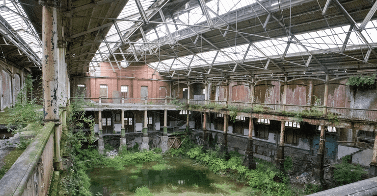 Iveagh Markets to receive €9 million in funding for essential conservation works Iveagh Markets to receive €9 million in funding for essential conservation works