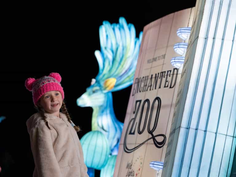 Christmas is officially on the way as Dublin Zoo announce the return of Wild Lights Christmas is officially on the way as Dublin Zoo announce the return of Wild Lights