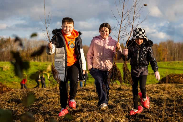 North Dublin suburb joins Barcelona and Milan in urban forest initiative North Dublin suburb joins Barcelona and Milan in urban forest initiative