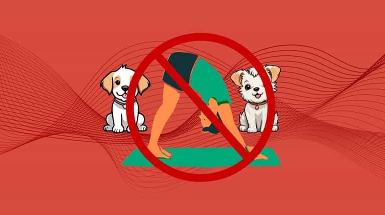 Animal welfare charities urge public not to attend new puppy yoga sessions Animal welfare charities urge public not to attend new puppy yoga sessions
