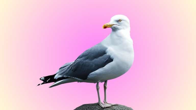 The 16 best free things to do in Dublin right now The 16 best free things to do in Dublin right now