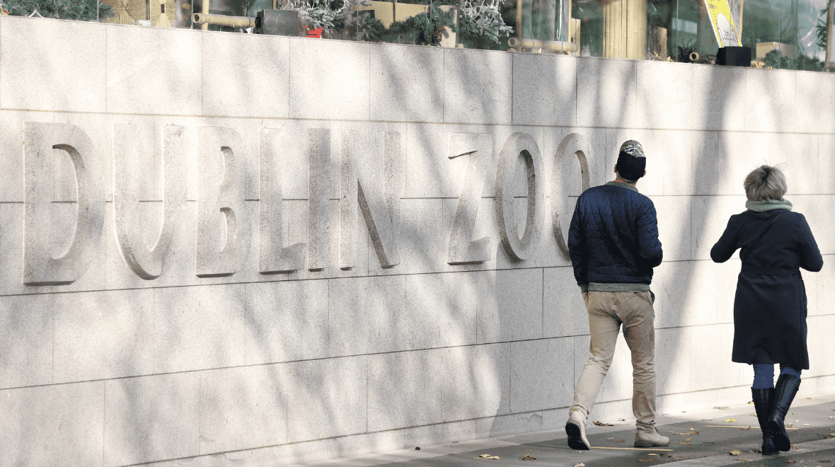 Dublin Zoo ‘vehemently disputes’ welfare allegations made in Dáil