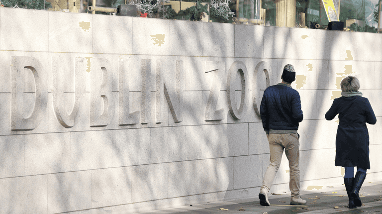 Dublin Zoo ‘vehemently disputes’ welfare allegations made in Dáil Dublin Zoo ‘vehemently disputes’ welfare allegations made in Dáil