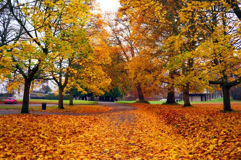 10 of the best places to capture perfect autumnal photos in Dublin 10 of the best places to capture perfect autumnal photos in Dublin