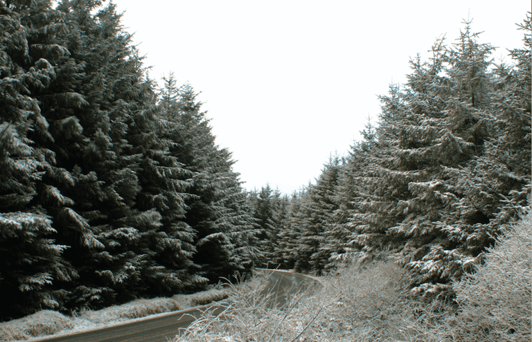 Snow possible in parts of Dublin today as day of unsettled weather expected Snow possible in parts of Dublin today as day of unsettled weather expected