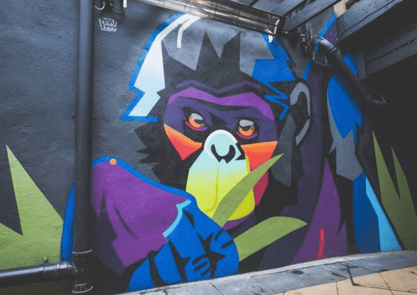 Bonobo announce temporary closure due to Covid-19 safety concerns Bonobo announce temporary closure due to Covid-19 safety concerns