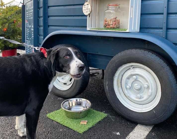 Dublin coffee trailer on the lookout for new spot to call their own Dublin coffee trailer on the lookout for new spot to call their own