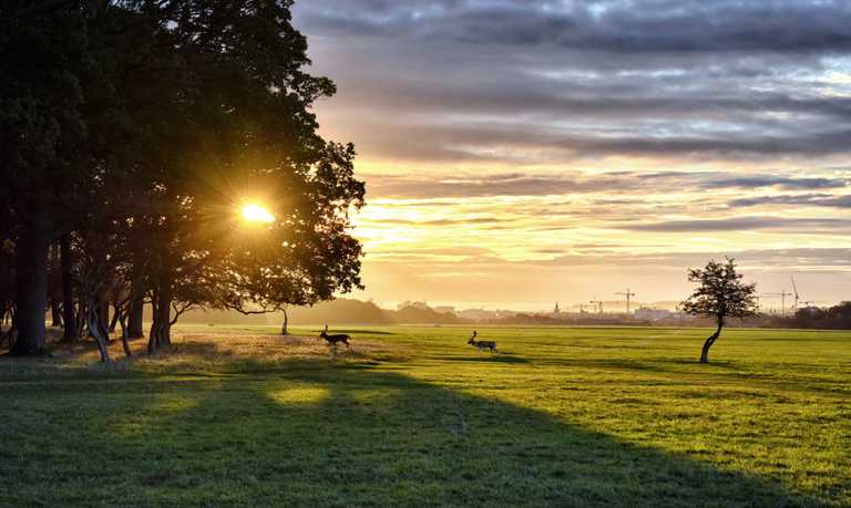Met Éireann gives positive update for mostly dry weekend ahead Met Éireann gives positive update for mostly dry weekend ahead