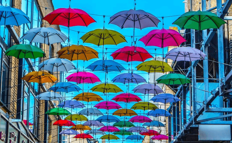 Zozimus Bar announce their return to the Dublin drinks scene Zozimus Bar announce their return to the Dublin drinks scene