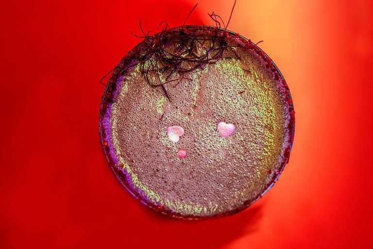 What to eat, drink, and do in Dublin right now What to eat, drink, and do in Dublin right now