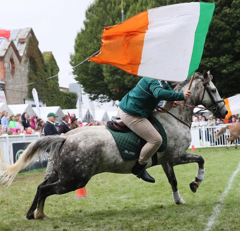 Everything we know about the return of The Dublin Horse Show 2022 Everything we know about the return of The Dublin Horse Show 2022