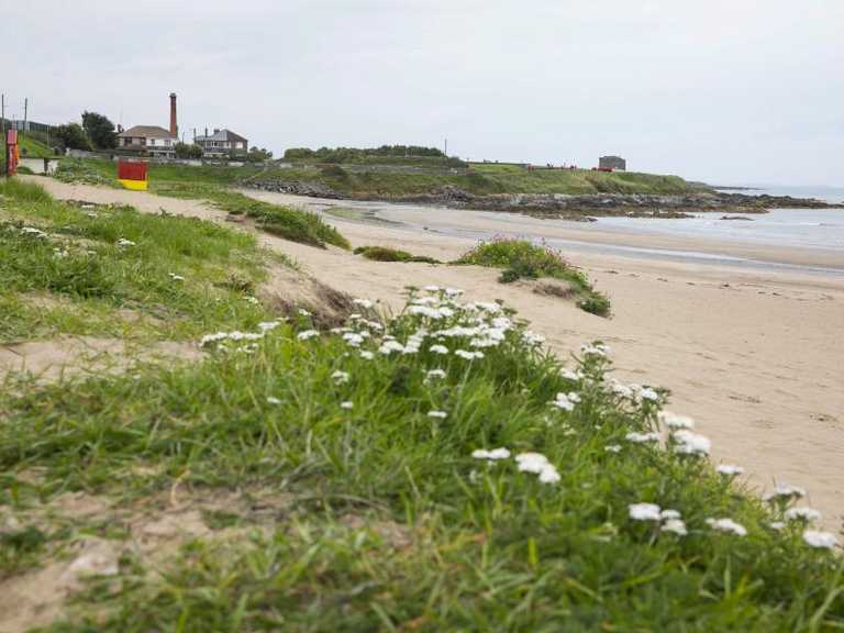 Do Not Swim notice issued for Balbriggan beach due to high levels of E.coli Do Not Swim notice issued for Balbriggan beach due to high levels of E.coli