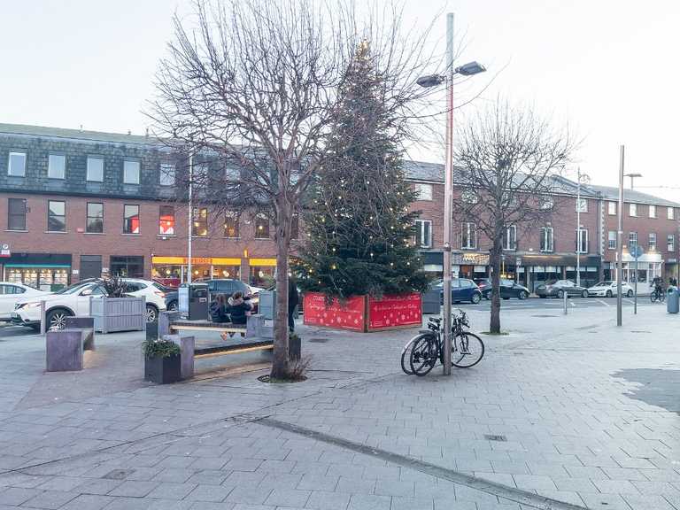 Ranelagh residents ‘pretty disappointed’ with lacklustre village Christmas tree Ranelagh residents ‘pretty disappointed’ with lacklustre village Christmas tree