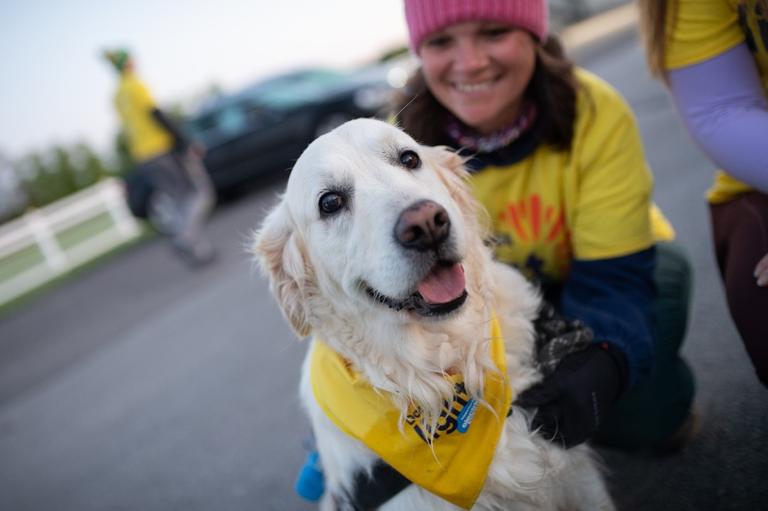 Everything you need to know about Darkness Into Light 2023 Everything you need to know about Darkness Into Light 2023