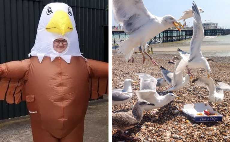 A UK zoo is looking to hire human seagull scarers to keep the birds away A UK zoo is looking to hire human seagull scarers to keep the birds away