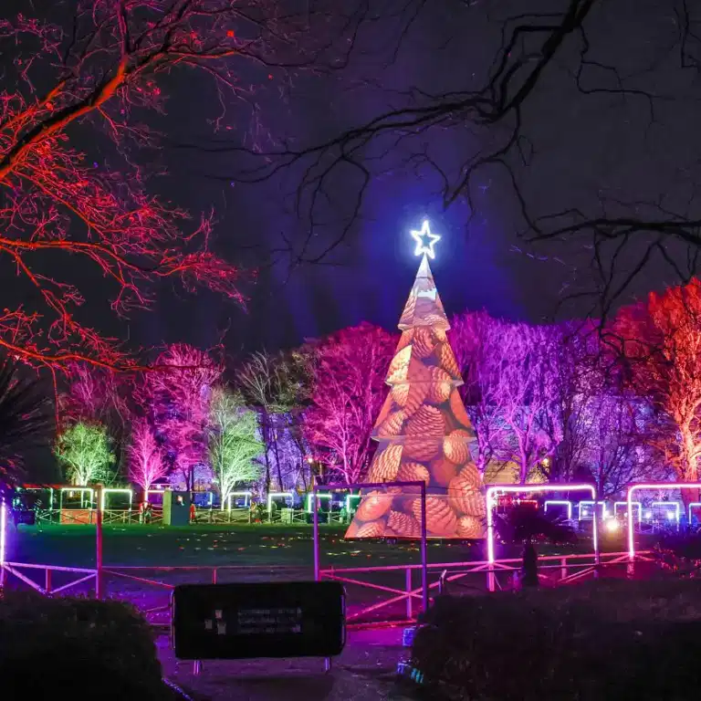 €2 Tickets now on sale for Dublin Winter Lights at Merrion Square Park €2 Tickets now on sale for Dublin Winter Lights at Merrion Square Park
