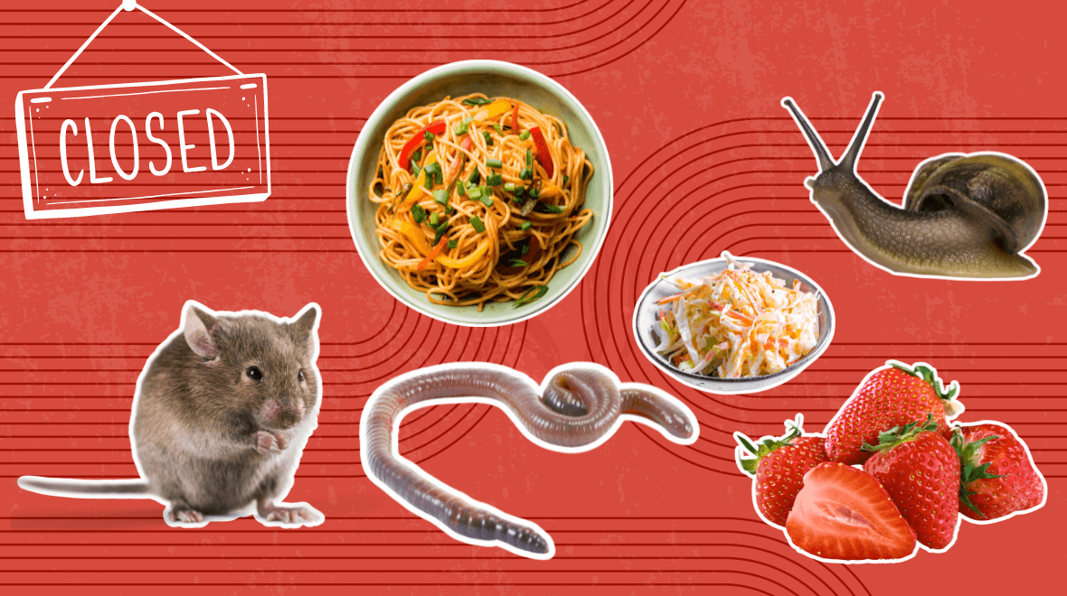 21 FSAI closure orders issued in April the highest rate of Enforcement Orders this year