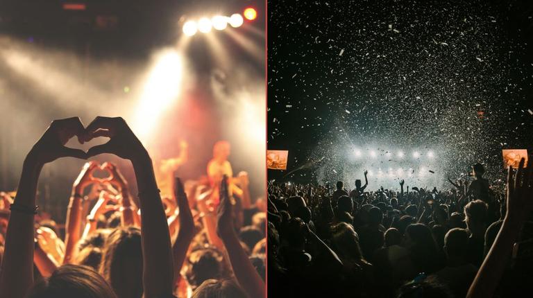 Fans left devastated after Wild Roots 2024 cancelled Fans left devastated after Wild Roots 2024 cancelled